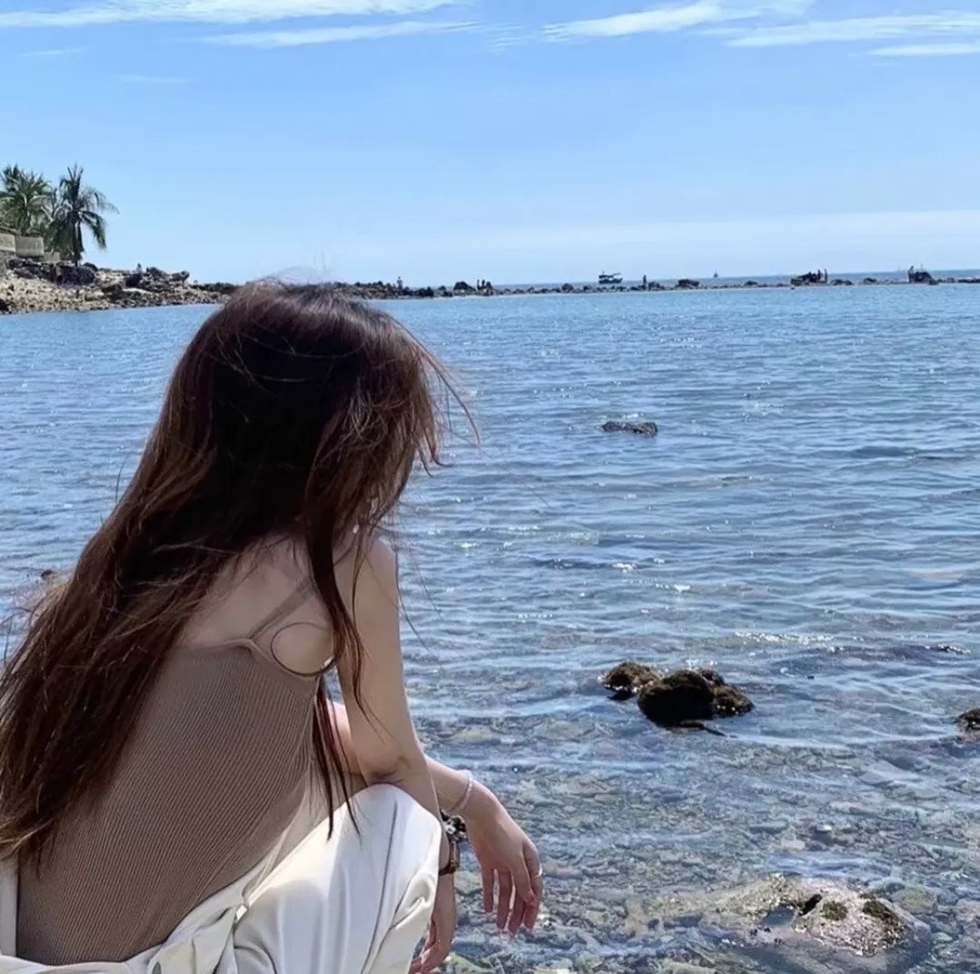 诈欺猎人海报
